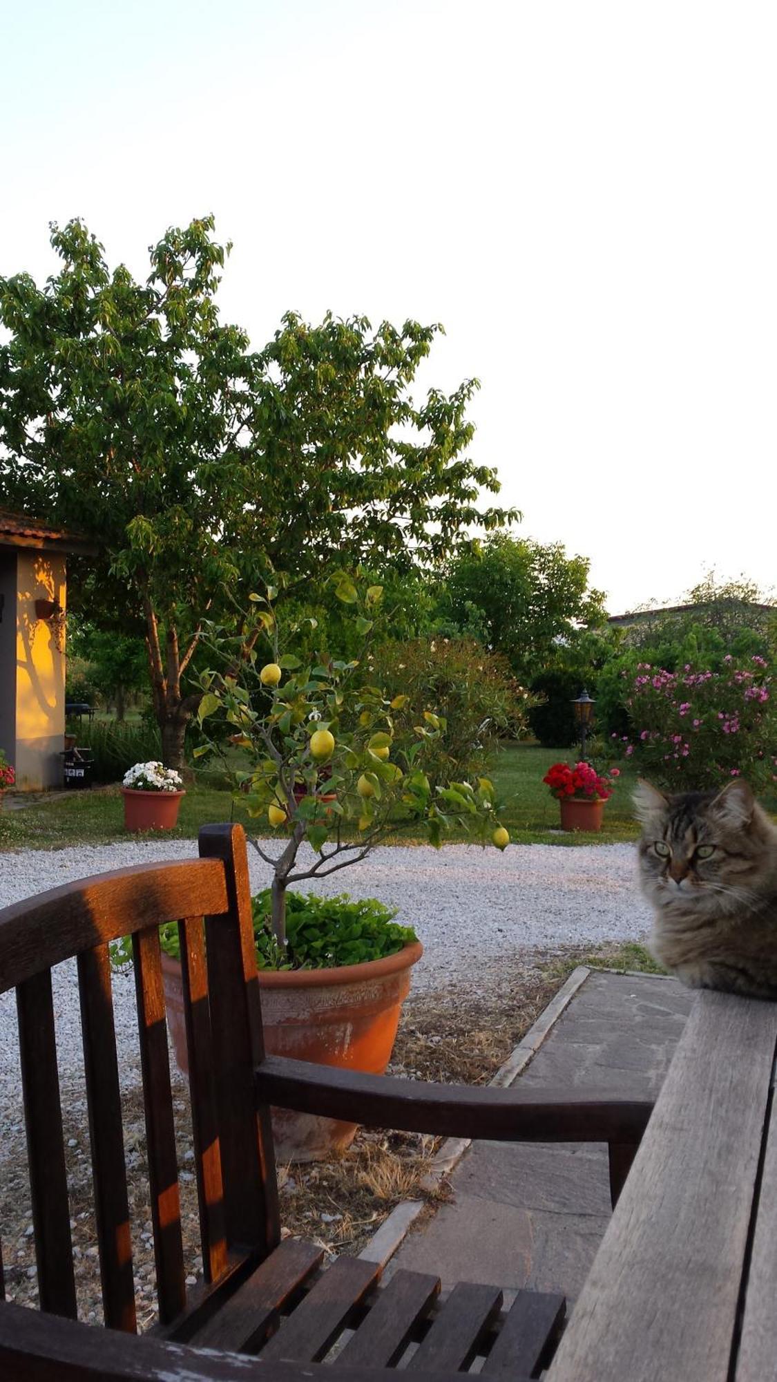 הוילה מאסה מריטימה Agriturismo Podere La Cascata מראה חיצוני תמונה