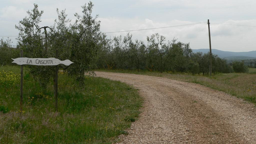 הוילה מאסה מריטימה Agriturismo Podere La Cascata מראה חיצוני תמונה
