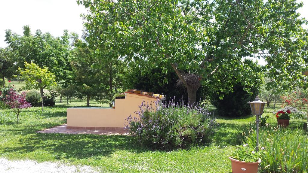 הוילה מאסה מריטימה Agriturismo Podere La Cascata מראה חיצוני תמונה