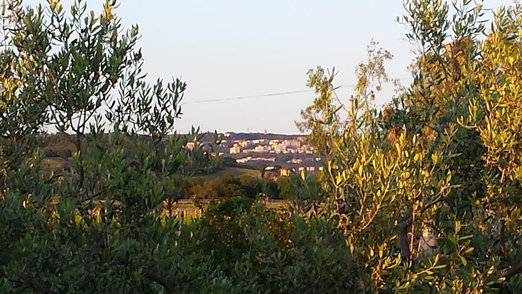 הוילה מאסה מריטימה Agriturismo Podere La Cascata מראה חיצוני תמונה