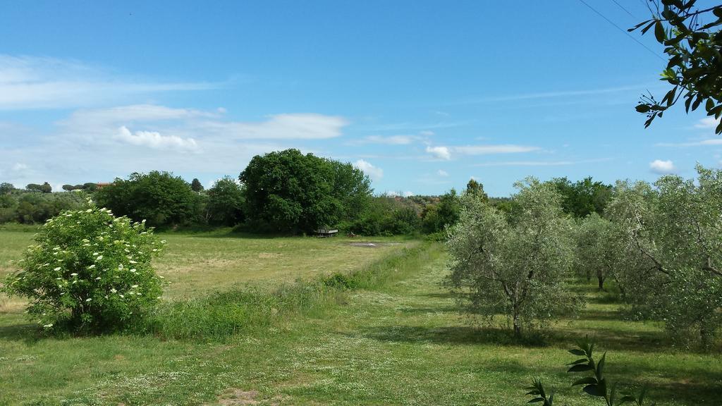 הוילה מאסה מריטימה Agriturismo Podere La Cascata מראה חיצוני תמונה