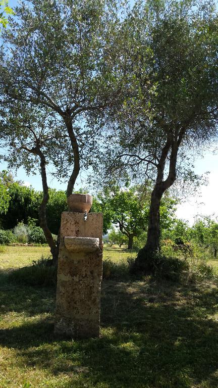 הוילה מאסה מריטימה Agriturismo Podere La Cascata מראה חיצוני תמונה