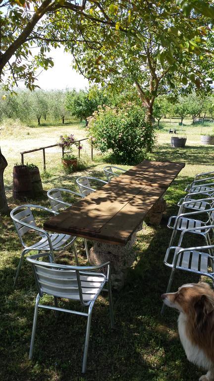 הוילה מאסה מריטימה Agriturismo Podere La Cascata מראה חיצוני תמונה