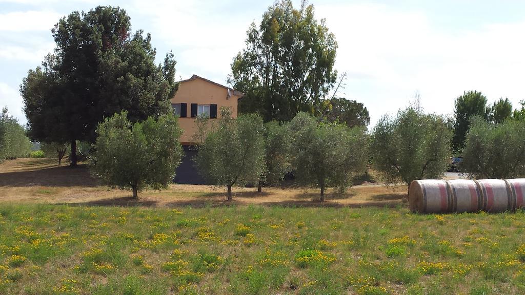 הוילה מאסה מריטימה Agriturismo Podere La Cascata מראה חיצוני תמונה